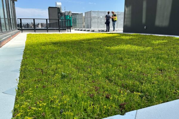 Rooftop Garden System