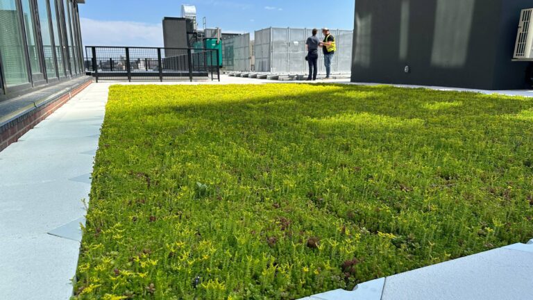 Rooftop Garden System