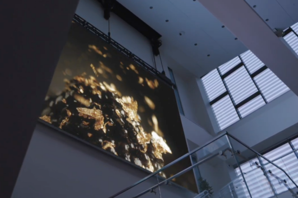 Food Is Art — a large-scale moving image piece that explores cuisine as both an artistic and emotional experience, transforming the language of cooking into a living, cinematic sculpture.